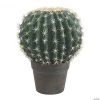 Vickerman 9.5" Artificial Green Barrell Cactus in Gray and Light Red Pot -Party Decorations Sales Shop vickerman 9 5 artificial green barrell cactus in gray and light red pot13938832