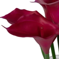 Vickerman Artificial 24" Purple Calla Lillies in Glass Vase -Party Decorations Sales Shop vickerman artificial 24 purple calla lillies in glass vase14176590 a03