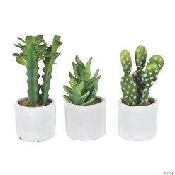 Vickerman Set of 3 Assorted 7" Potted Cactus Plants