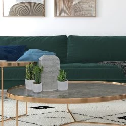 Vickerman Set of 3 Assorted 7" Potted Cactus Plants -Party Decorations Sales Shop vickerman set of 3 assorted 7 potted cactus plants13938790 a02