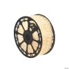 Vickerman Warm White LED Rope Light 150 ft