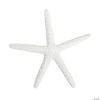 White Starfish - 12 Pc. -Party Decorations Sales Shop white starfish 12 pc 13737156