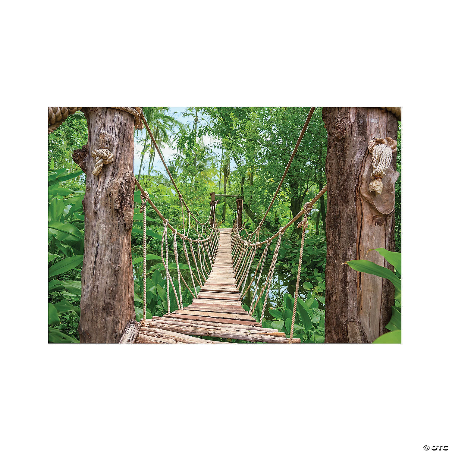 Wild Encounters Bridge Backdrop - 3 Pc. 3 Wild Encounters Bridge Backdrop - 3 Pc.