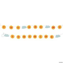 You Are My Sunshine Birthday Paper Pennant Banner - 2 Pc.