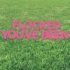 You’ve Been Flocked Yard Sign 2 You’ve Been Flocked Yard Sign -Party Decorations Sales Shop you ve been flocked yard sign13965878